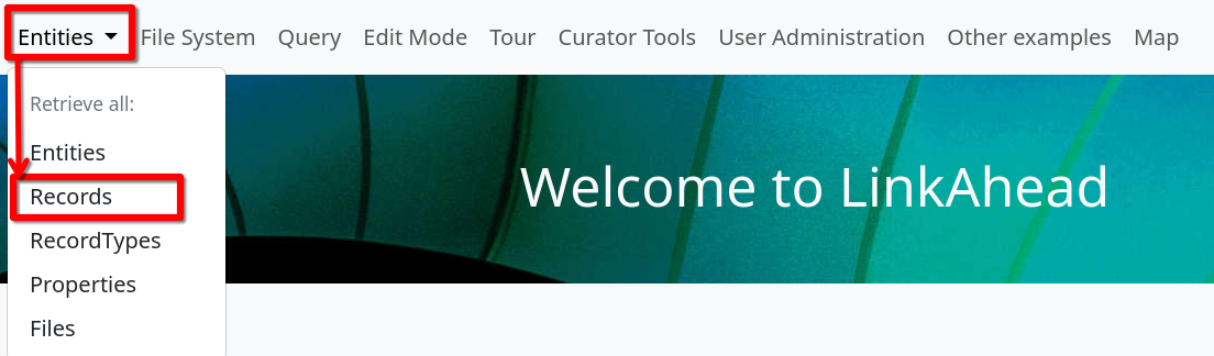 The entity menu in the LinkAhead web interface, listing different entity types.